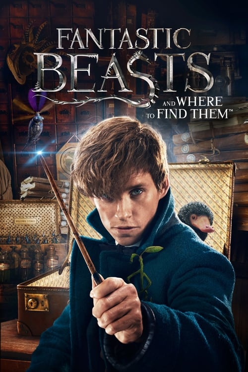 Fantastic Beasts and Where to Find Them 2016 1080p BluRay DTS x264-SpaceHD