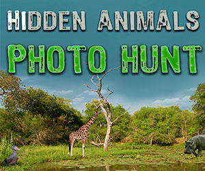 Hidden Animals Photo Hunt NL