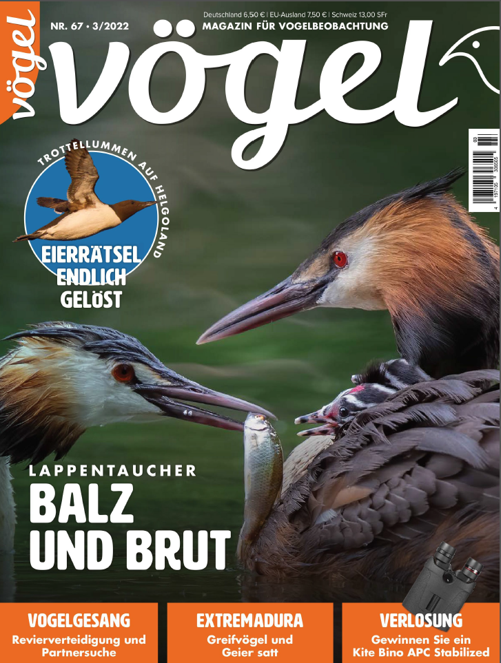 Voegel - Das Magzin fuer Vogelbeobachtung Ausgabe 3-2022