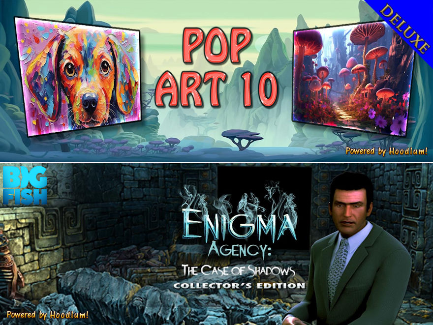 Enigama Agency The Case of Shadows Collector's Edition NL Zoekwoorden