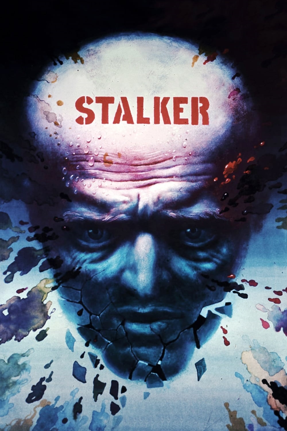 Stalker 1979 CC Bluray 1080p DTS-HD-1 0 x264-Grym