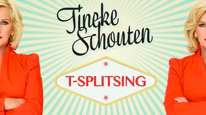 Tineke Schouten-T Splitsing DUTCH WEB x264-DDF