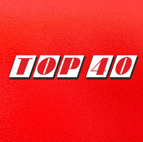 TOP 40 Hitdossier diversen (MP3 320KB)& (flac)