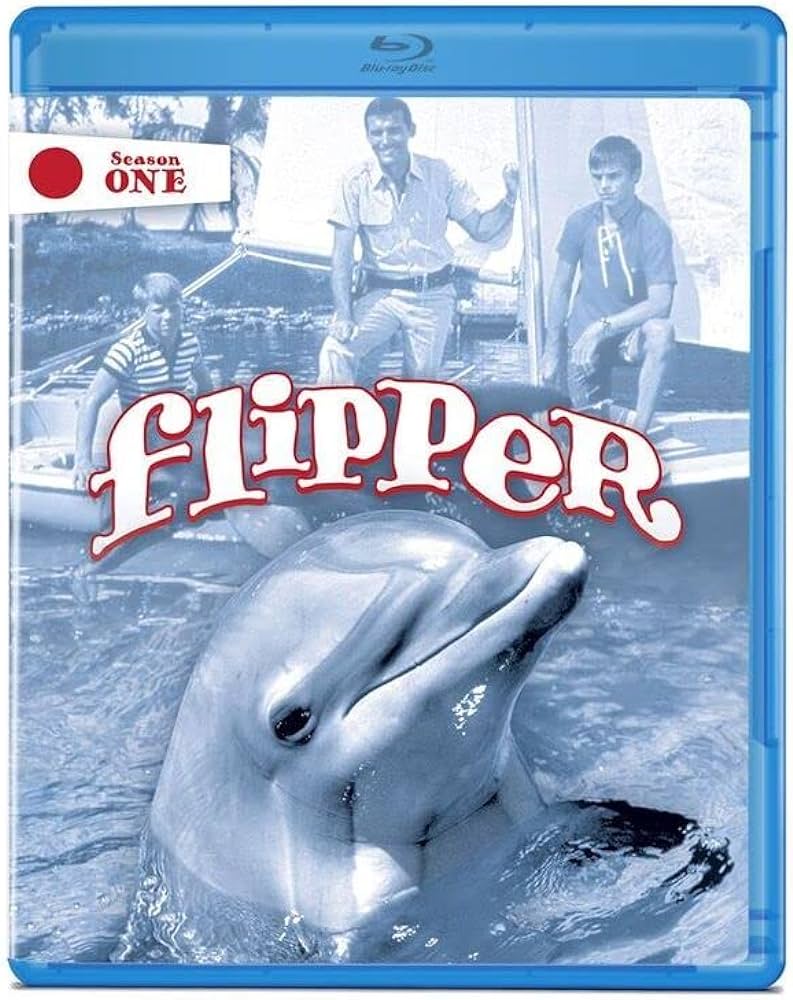 Flipper (1964-1967) - Seizoen 1 - Aflevering 1 t/m 10 - 1080p BluRay REMUX