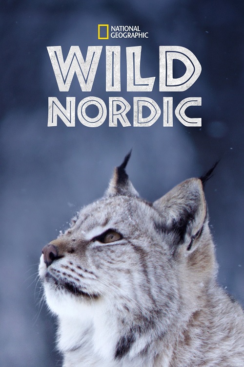 Wild Nordic - Miniserie (2019) 1080p Webrip