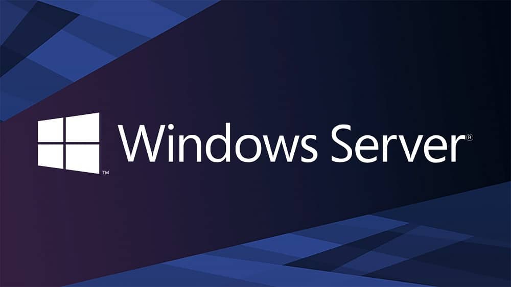 Re-spot Windows Server 2022 Updated Jan 2023 x64 nl-nl (Zonder PW)