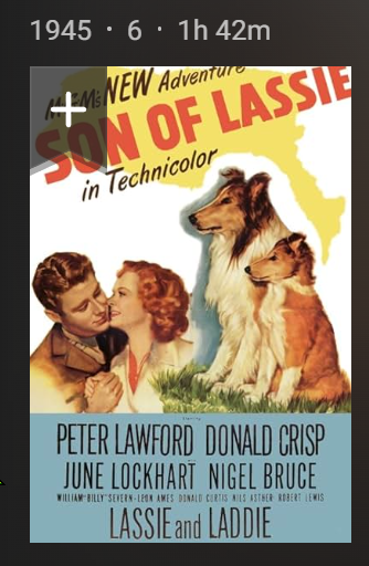 Son of Lassie 1945 DVDRip x264-NLSubs-S-J-K