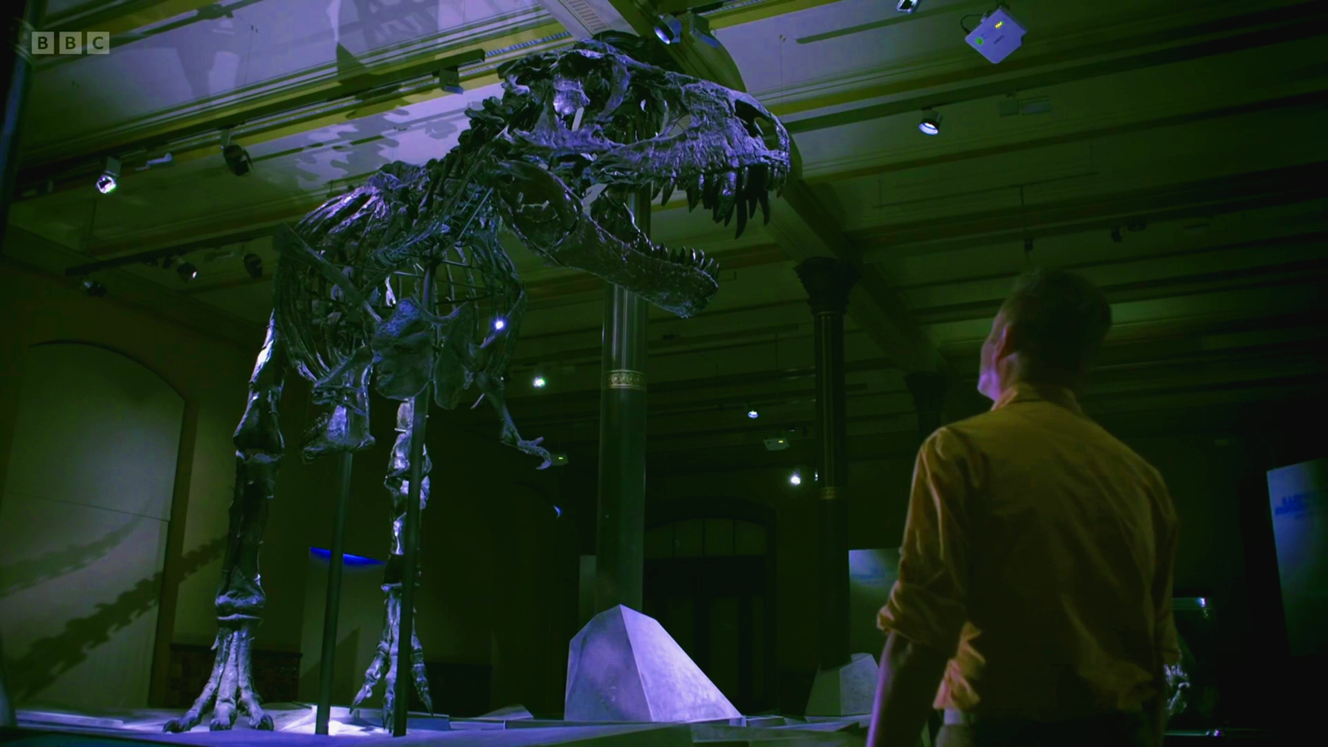 BBC De Echte T-Rex met Chris Packham GG NLSUBBED 1080p WEB x264-DDF