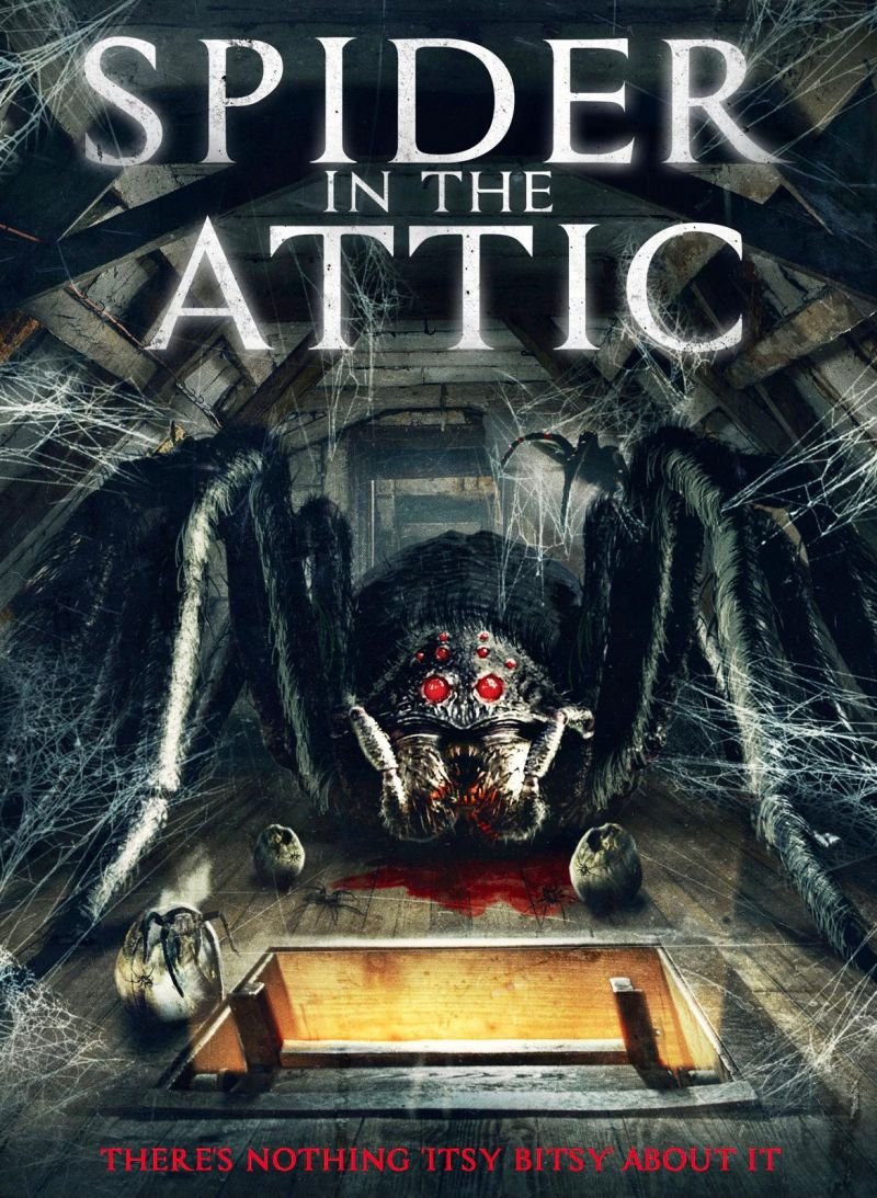 Spider in the Attic 2021 NL Subs