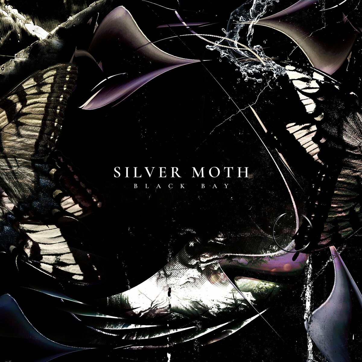 Silver Moth - 2023 - Black Bay (Alternative Rock) (2023) (flac)