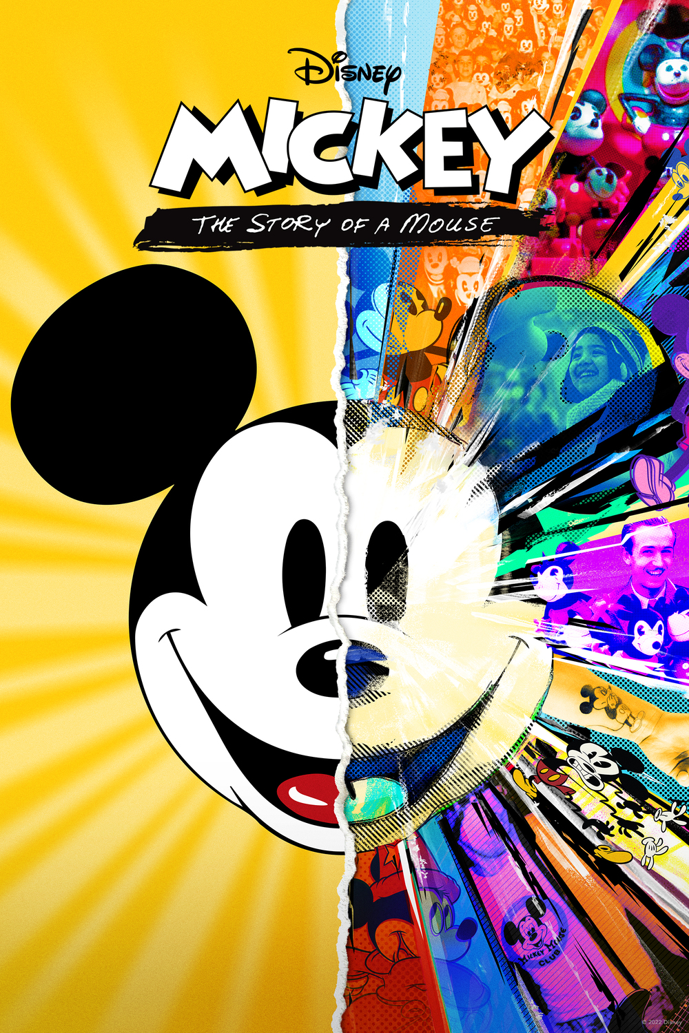 Mickey The Story of a Mouse 2022 1080p DSNP WEBRip DDP5 1 x264-FLUX