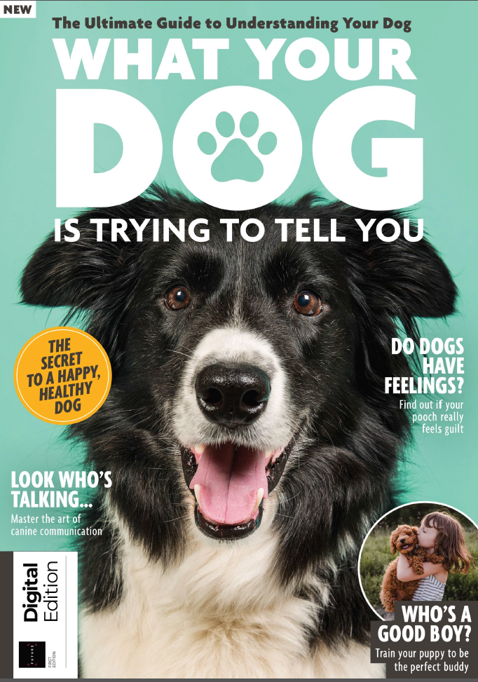 What Your Dog Is Trying To Tell You-06 March 2022