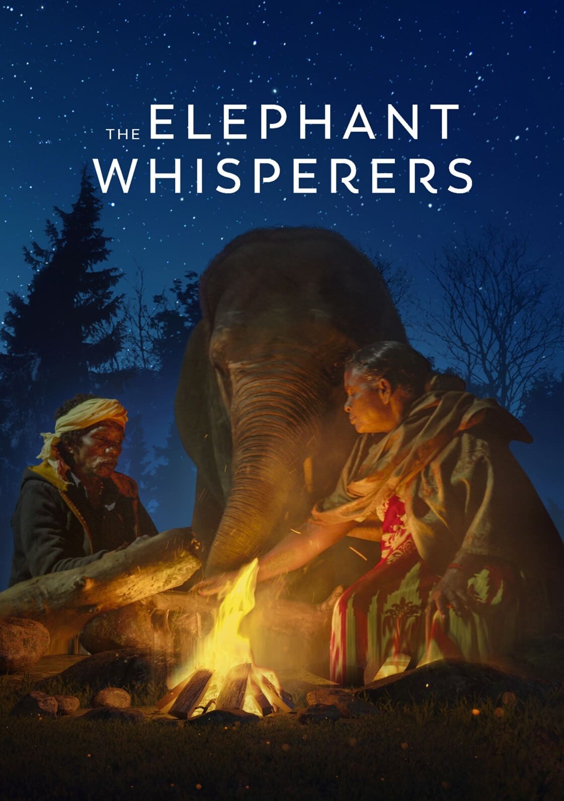 The Elephant Whisperers 2022 1080p WEB H264-BIGDOC