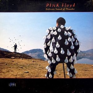 2020 - Pink Floyd - Delicate Sound Of Thunder- Live 1988 Juist Het is een MKV.File.