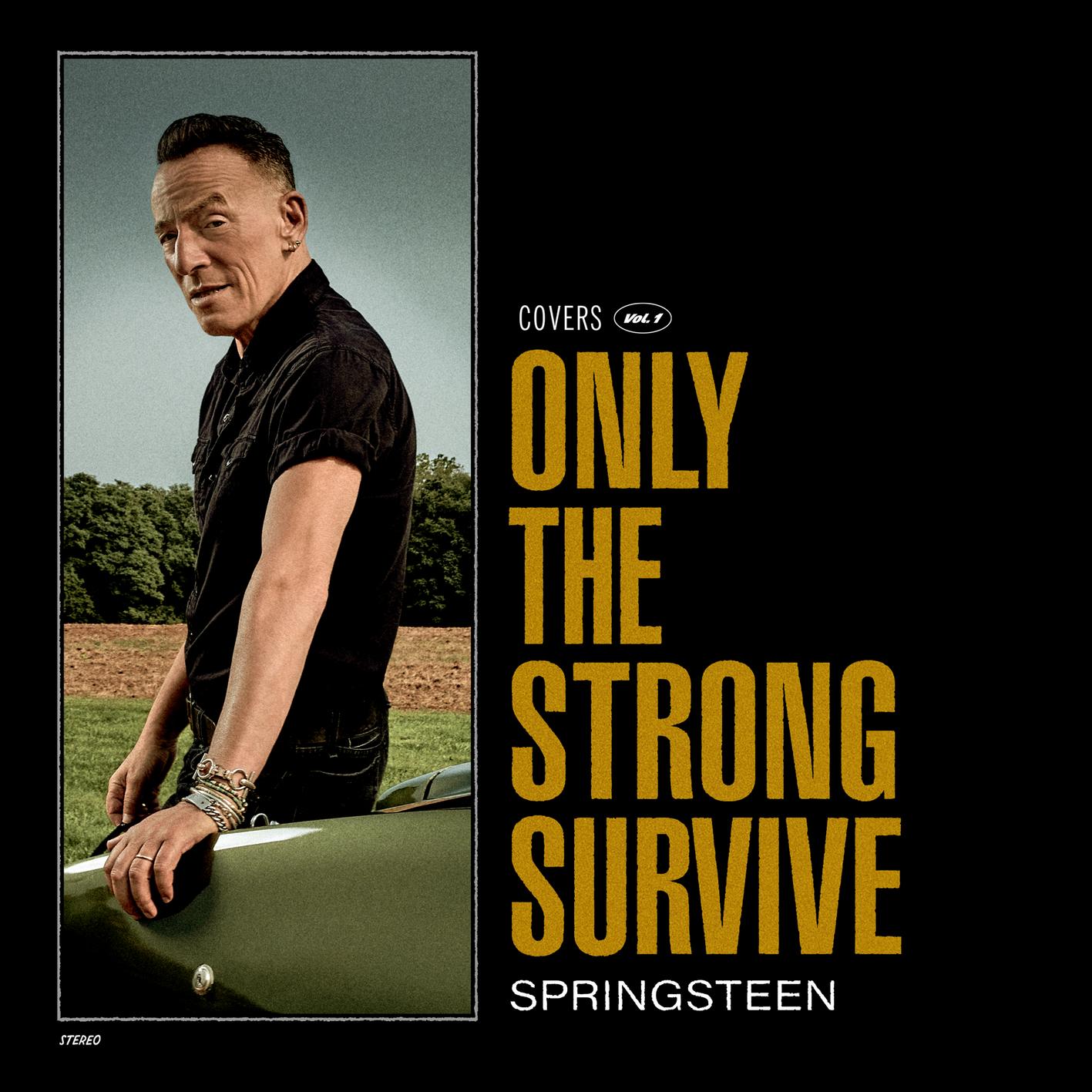 Bruce Springsteen - 2022 - Only the Strong Survive (24-96)