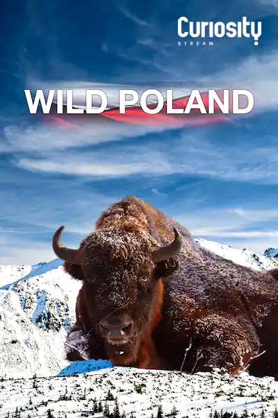 Wild Polen 2012 GG NLSUBBED WEB x264-DDF