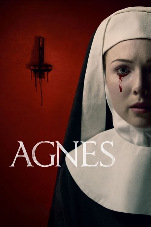 Agnes 2021 1080p BluRay x264-OFT