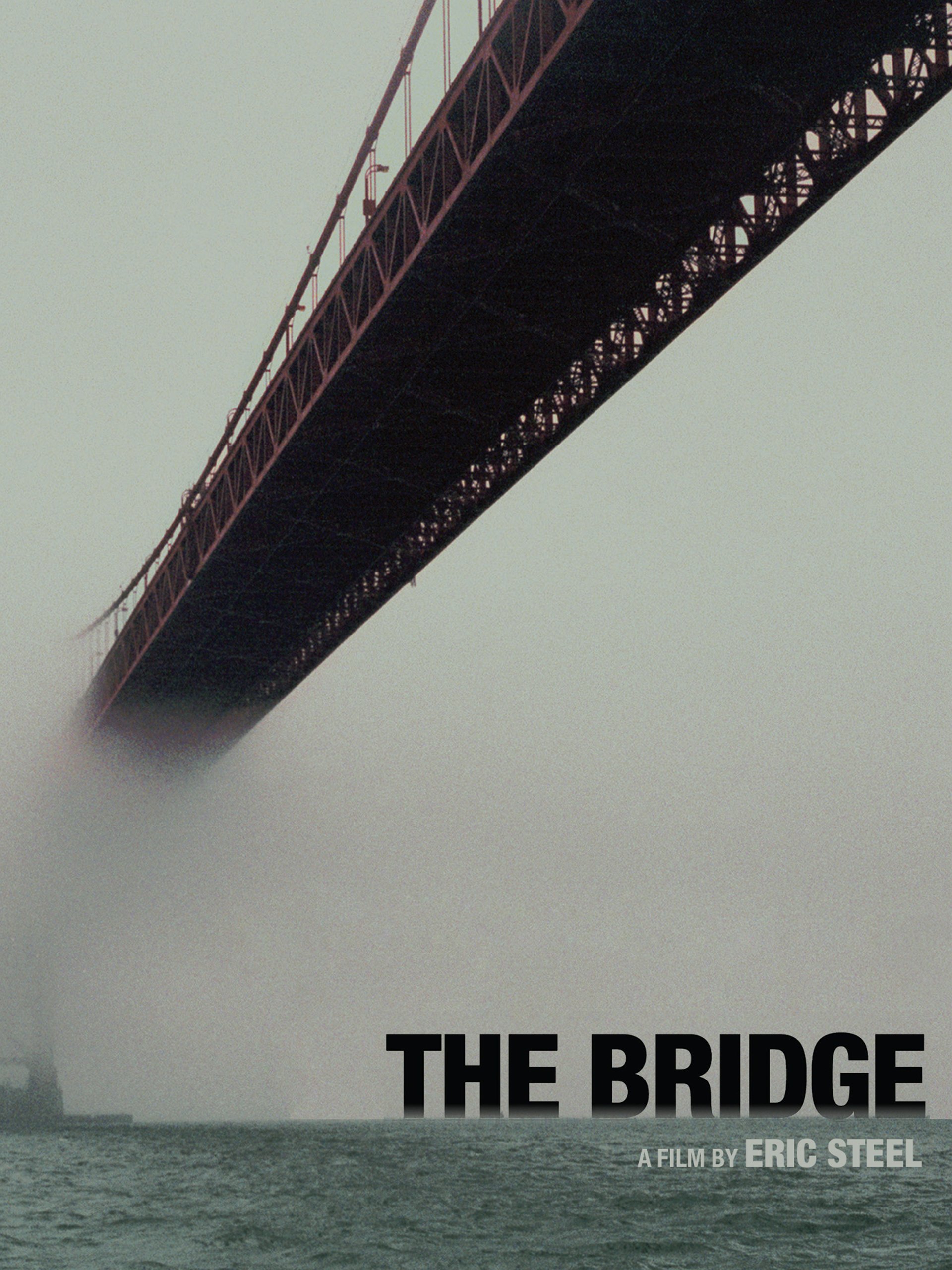 The Bridge (2006) (1080p Amazon WEBRip DDP2.0 x264)