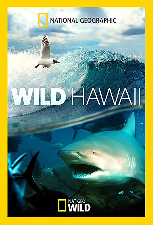 Wild Hawaii - S01 1080p WEB-DL DDP5 1 H 264 (Retail NLsub)