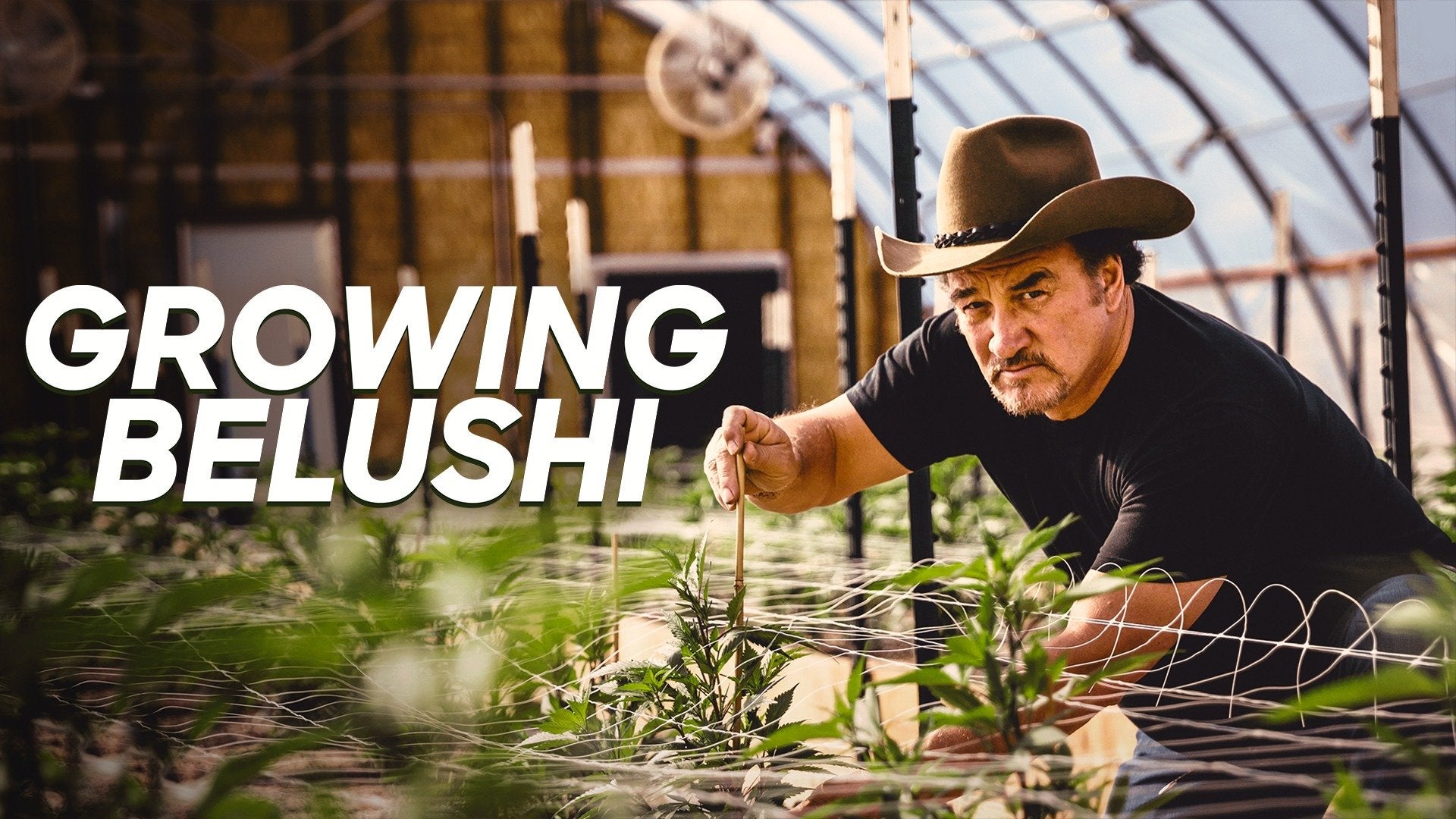 Growing Belushi S01E02 720p  A Mission from God