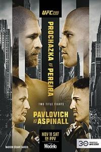 UFC 295 Prochazka vs Pereira Main-1080p HDTV H264