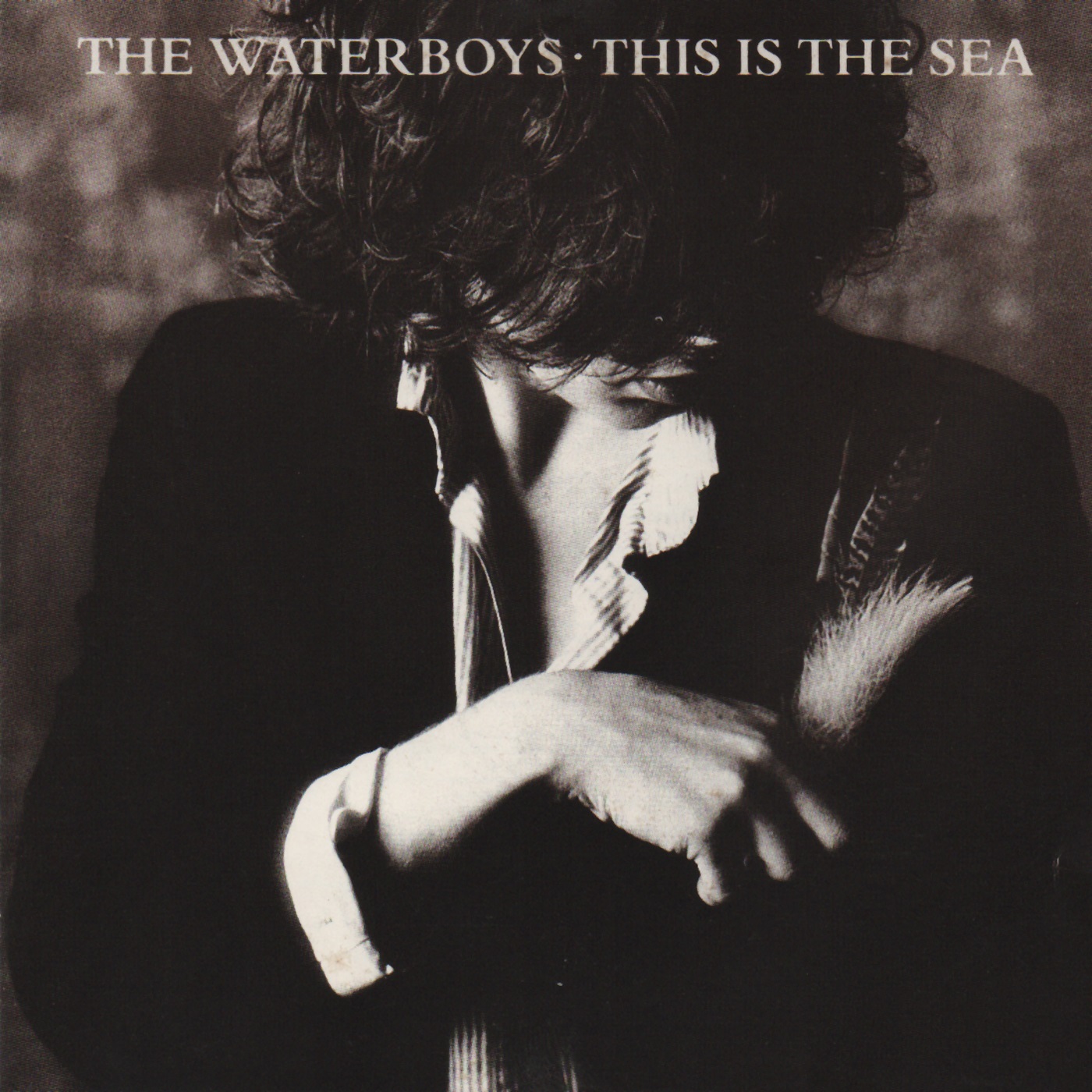 The Waterboys - 1985 - This is the Sea [CDP 3215432]