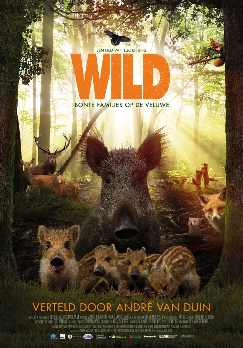Wild Op De Veluwe De Filmversie DUTCH 1080p WEB x264-DDF