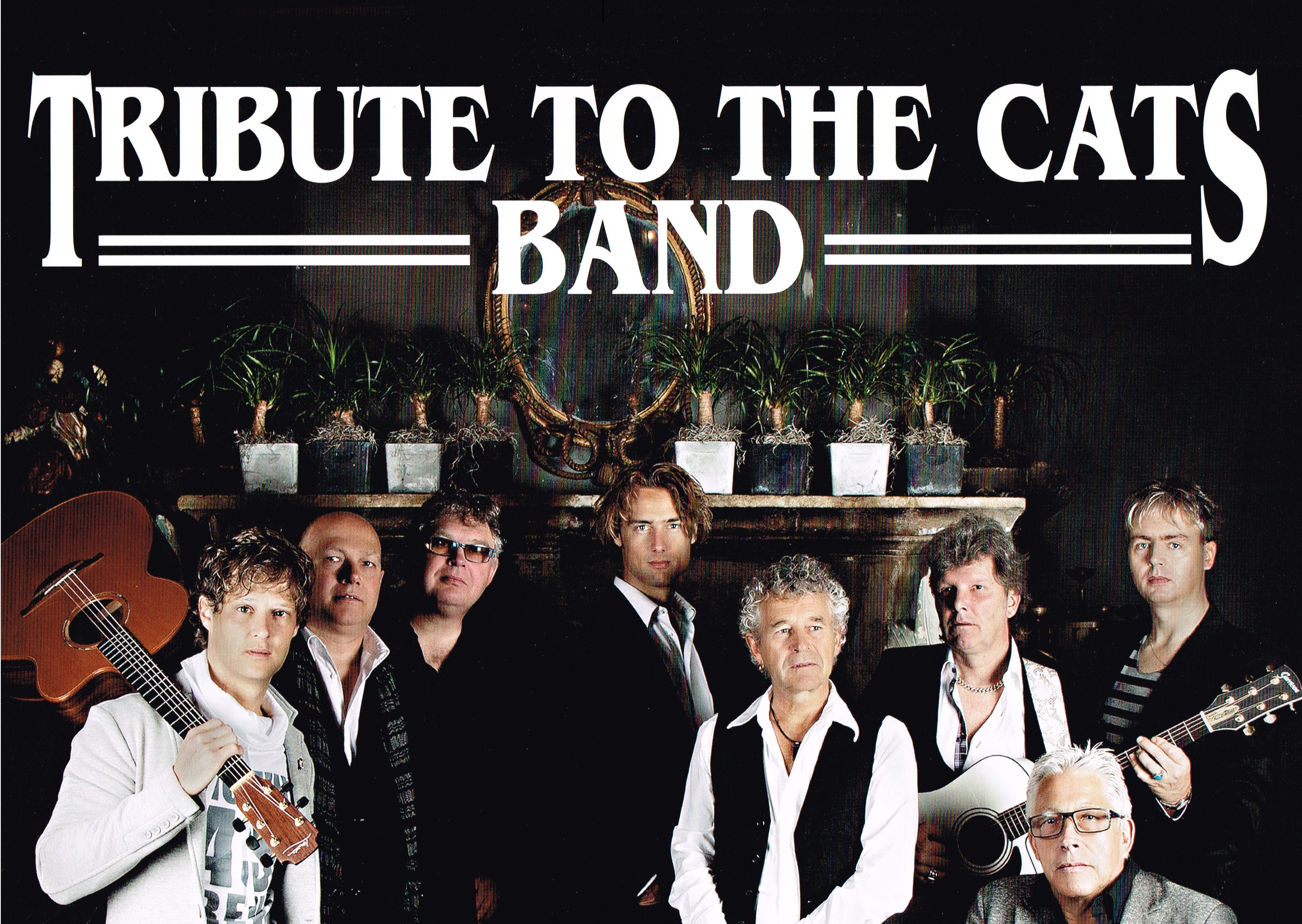 Tribute To The Cats Band Jubileumconcert 2022 DUTCH 1080p WEB x264-DDF
