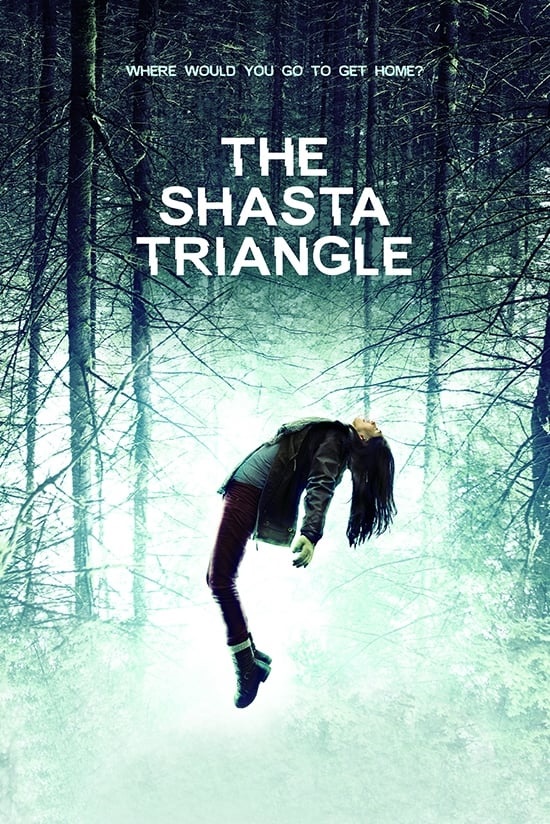 The Shasta Triangle (2019) 720p.a52.h264.webrip