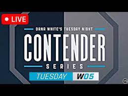 UFC Tuesday Night Contender Series S07W05 1080p WEB-DL H264 Fight-BB[TGx]