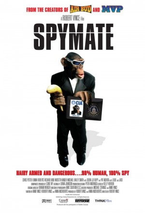 Spymate 2006 NL subs