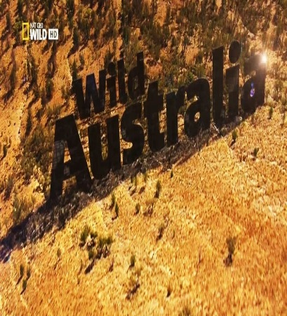 Wild Australia - 1080p WEB-DL DDP5 1 H 264 (Retail NLsub)