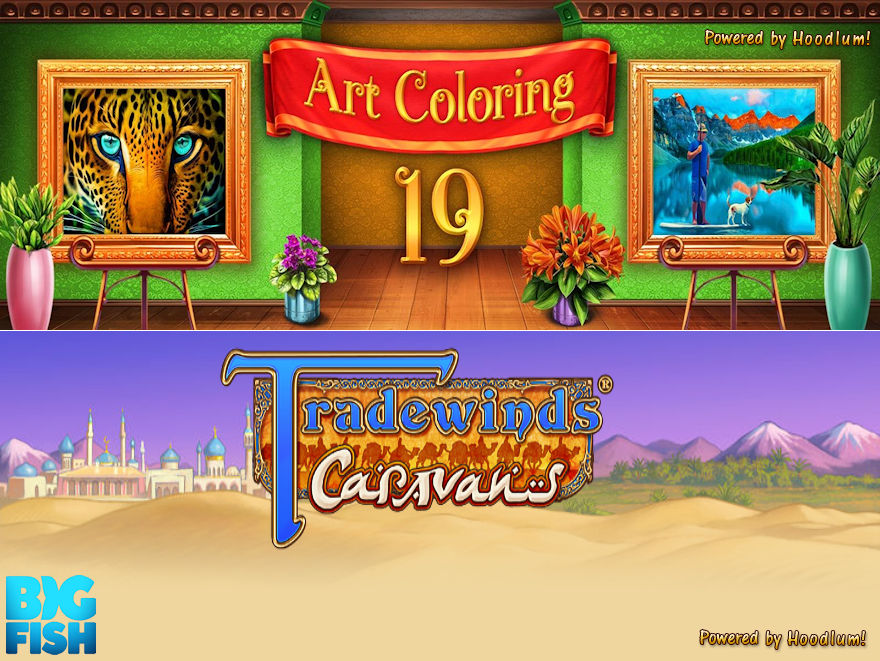 Art Coloring 19 DeLuxe - NL