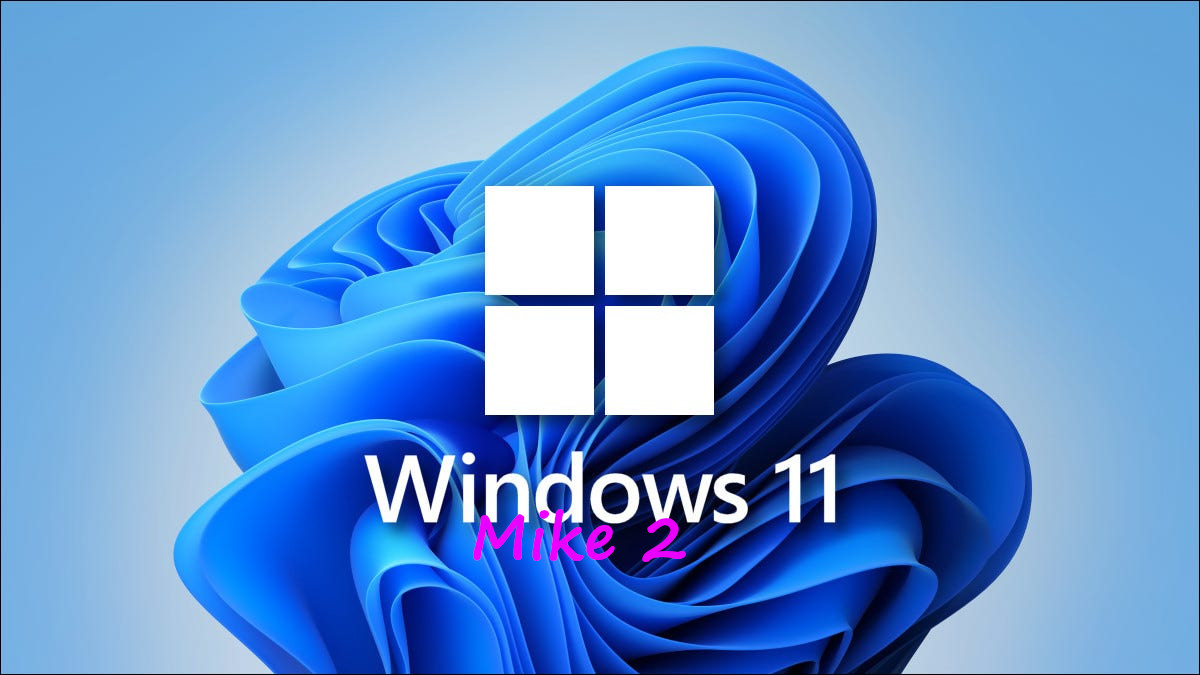 Windows 11 Pro NL met programma's