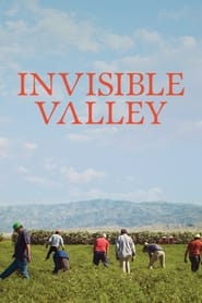 Invisible Valley 2021 1080p WEBRip x265-LAMA