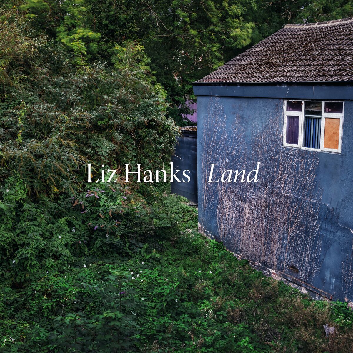 Liz Hanks - 2023 - Land