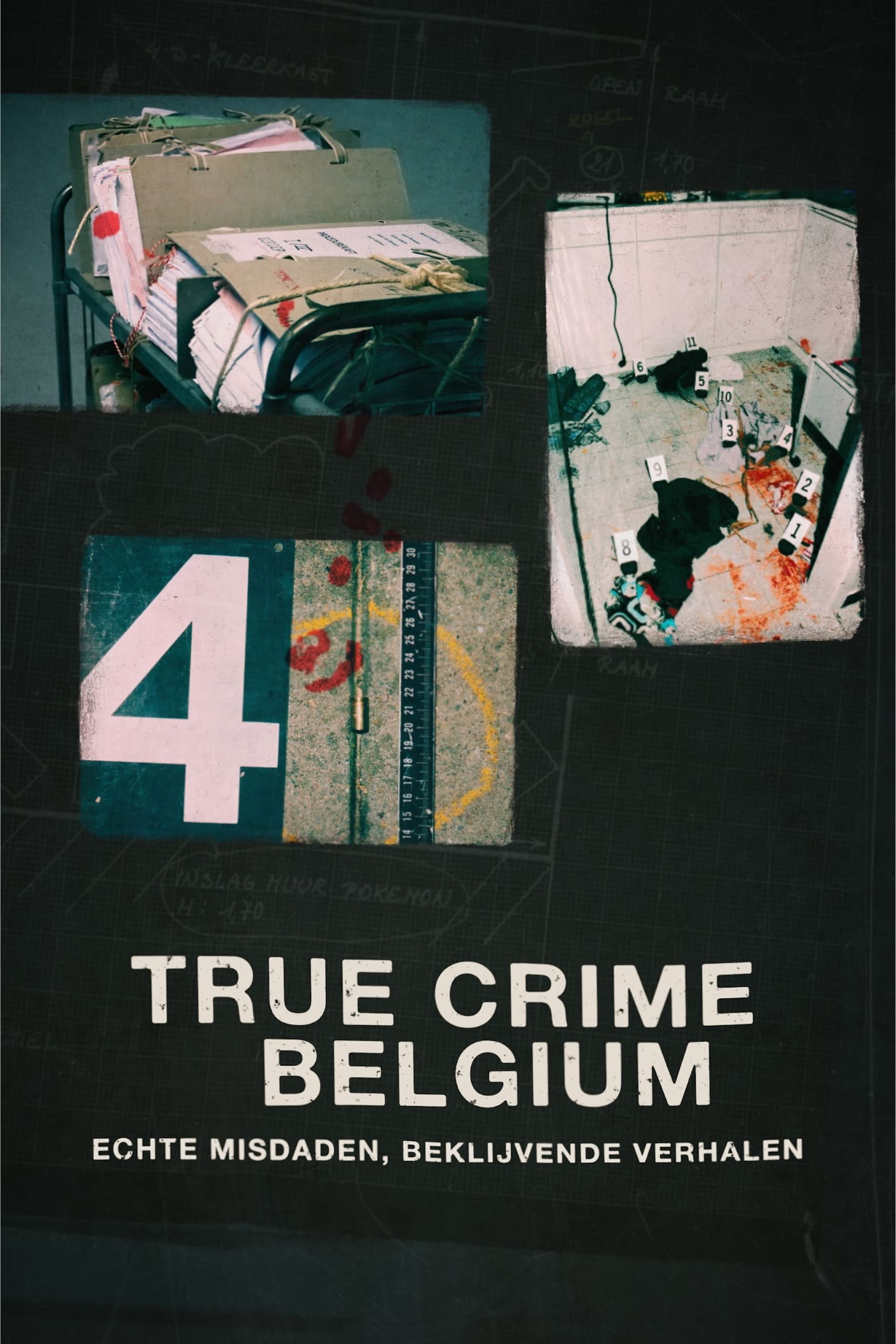 True Crime Belgium - Seizoen 1 - 1080p - Vlaams - NL Subs
