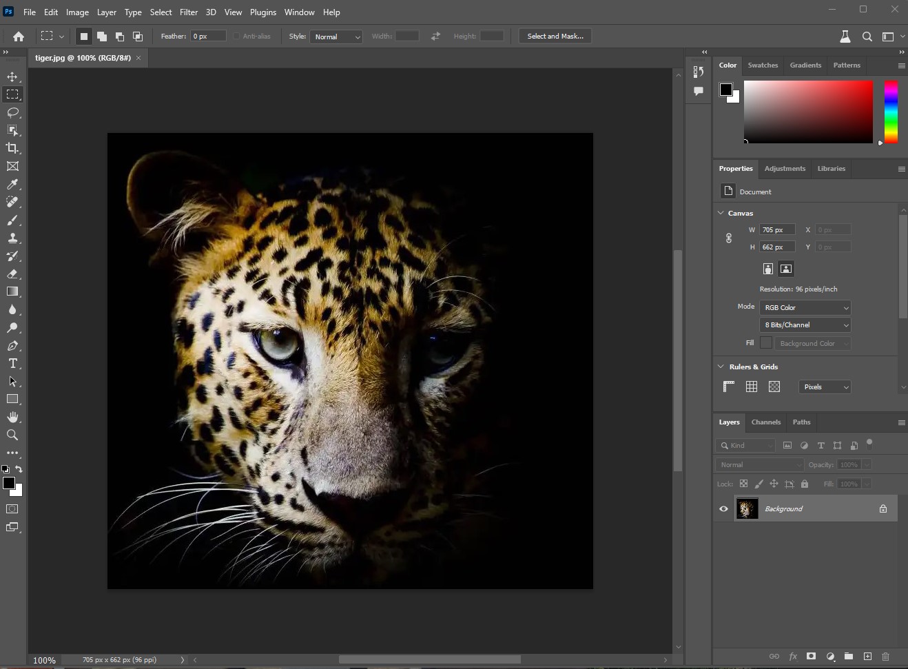 Adobe Photoshop 2024 v25.0 Beta Met Neuralfilters Engels (Account nodig)