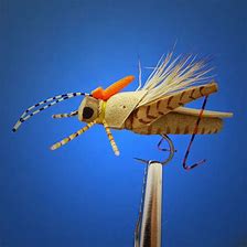Oudere Engelstalige fly fishing bladen
