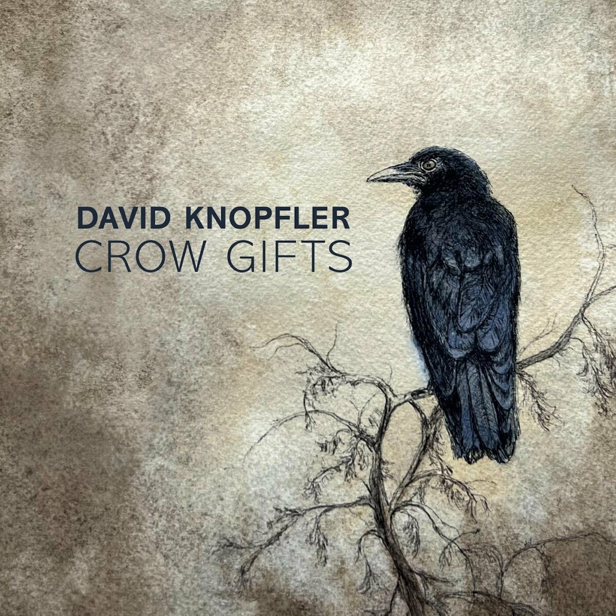 David Knopfler - 2024 - Crow Gifts