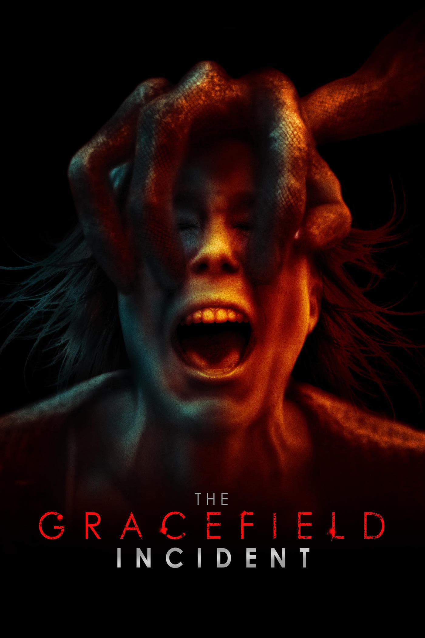 The Gracefield Incident 2017 1080p BluRay x264