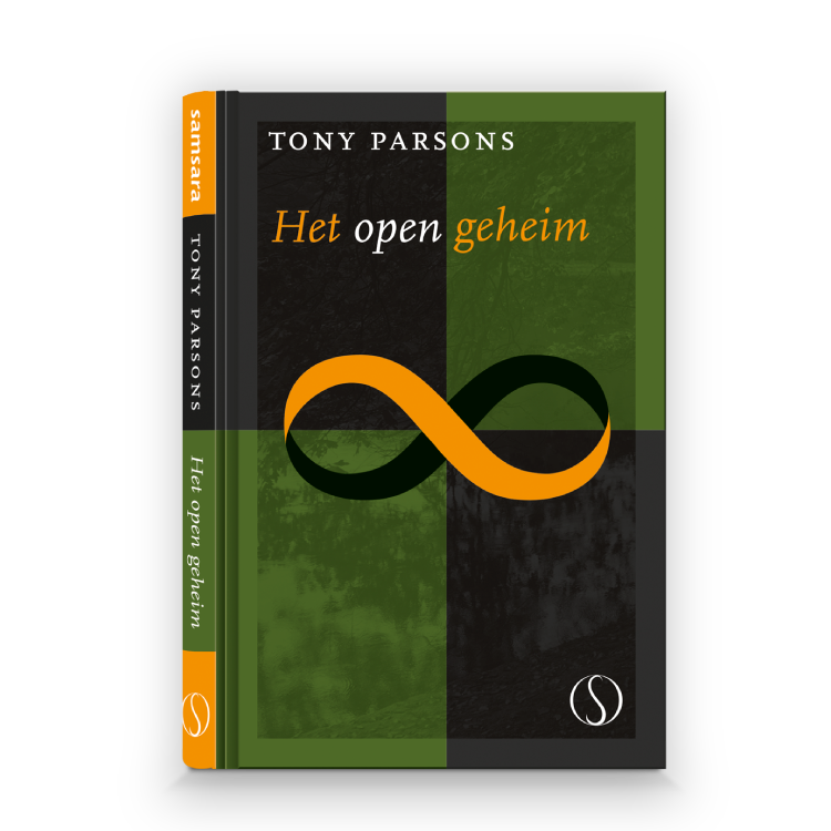 Tony Parsons - Het open geheim