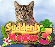 Suddenly Meow 3 NL
