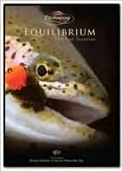Equillibrium - the last frontier