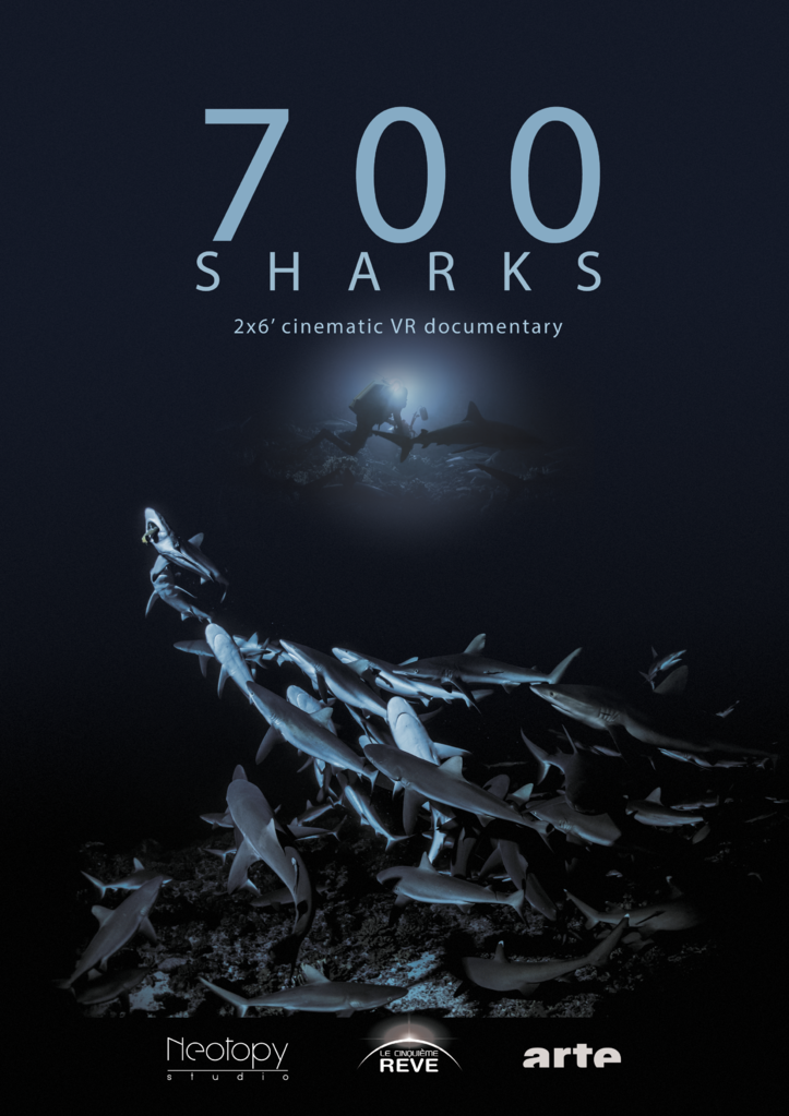 700 Haaien in de Nacht NLSUBBED WEB x264-DDF