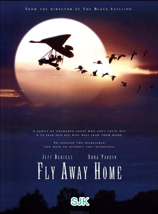 Fly Away Home 1996 1080p BluRay DD 5 1 x264-NLSubs-S-J-K