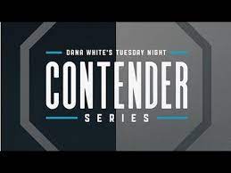 UFC Tuesday Night Contender Series S07W03 1080p WEB-DL H264 Fight-BB
