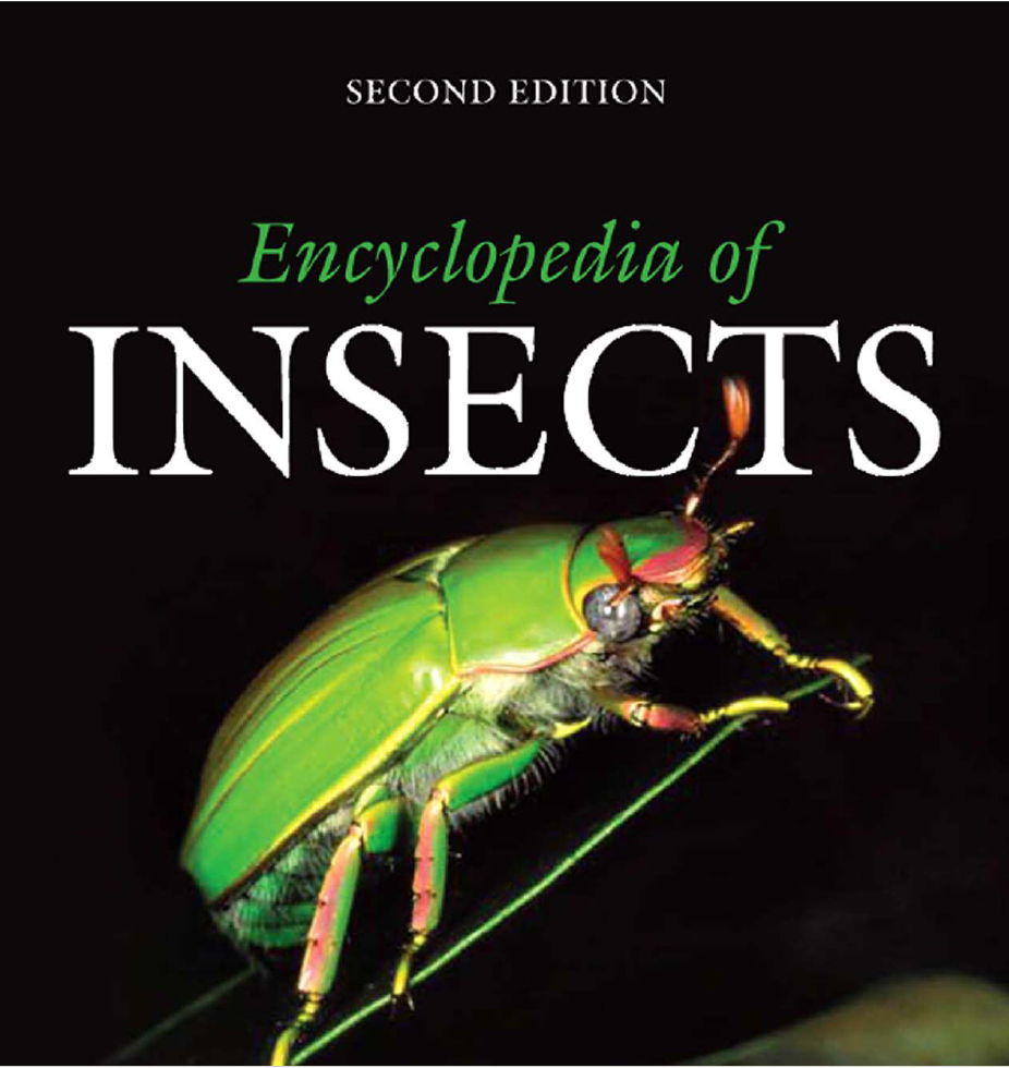 Encyclopedia Of Insects Second Edition 2009