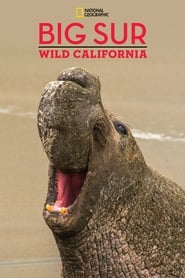 Big Sur-Wild California 2010 1080p WEBRip x265-LAMA