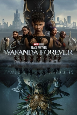 Black Panther Wakanda Forever goede kwaliteit met eng subs los zonder reclame.